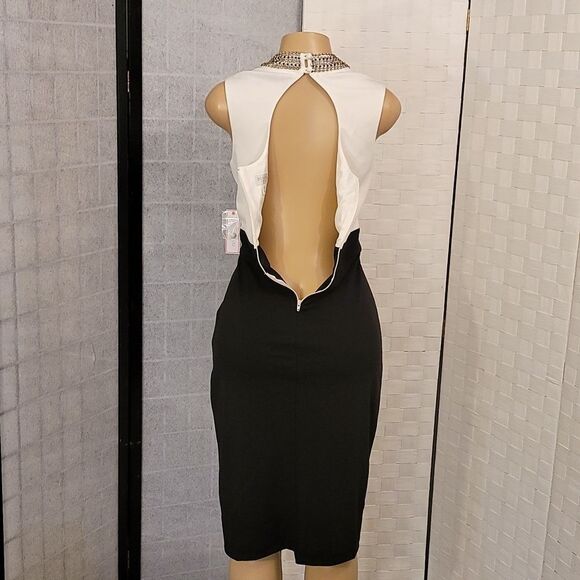 BRAND NEW BISSOU BISSOU MOCK JEWEL NECK SLEEVELESS SHEATH DRESS - Picture 7 of 14